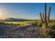 Desert landscape with saguaro cactus overlooking a lush golf course and modern homes under a bright sky at 26689 W Ponderosa Ln, Buckeye, AZ 85396
