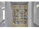 Pantry with ample shelving for food storage and organization at 40845 W Thornberry Ln, Maricopa, AZ 85138