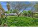 Beautiful backyard featuring a well-maintained lawn, a swing set, a hot tub, and lush tropical plants at 4645 E Cambridge Ave, Phoenix, AZ 85008