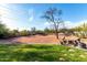 Expansive backyard featuring a fire pit, mature trees, and low-maintenance desert landscaping at 5616 E Desert Vista Trl, Cave Creek, AZ 85331