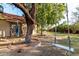Lush backyard features mature trees providing shade, a tree swing, and an outdoor lounge area at 5616 E Desert Vista Trl, Cave Creek, AZ 85331