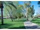 Scenic view of the Hayden Bike Trail, surrounded by lush greenery and towering trees at 7575 E Indian Bend Rd # 2002, Scottsdale, AZ 85250