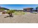 Spacious backyard with a built-in grill, trampoline, decorative rocks, and a clear blue sky at 17451 W Hadley St, Goodyear, AZ 85338