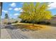 Private backyard with desert landscaping, a brick paver patio, bench seating and a large shade tree at 35733 W Santa Monica Ave, Maricopa, AZ 85138