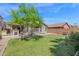 Spacious backyard with a well-maintained lawn, mature trees, and a covered patio with outdoor amenities at 15391 W Yucatan Dr, Surprise, AZ 85379