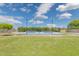 Full court basketball court with lights, green lawn, tall privacy hedges and cloudscape at 3356 E Vallejo Ct, Gilbert, AZ 85298