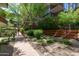 Well-maintained brick path winds through lush community landscaping at 7131 E Rancho Vista Dr # 1008, Scottsdale, AZ 85251