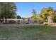 Large grassy backyard enclosed by a fence, with desert landscaping and a pool area at 21315 E Marsh Rd, Queen Creek, AZ 85142