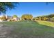 Expansive backyard with a lush green lawn and desert landscaping, perfect for outdoor activities at 21315 E Marsh Rd, Queen Creek, AZ 85142