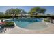 Relaxing freeform pool and raised spa offer a tranquil retreat in this gorgeous backyard at 10160 E Whispering Wind Dr, Scottsdale, AZ 85255