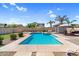 Sparkling backyard pool surrounded by a desert landscape and palm trees, ideal for relaxation at 11225 E Sylvan Ave, Mesa, AZ 85212