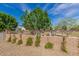 Landscaped backyard features a block wall and flowering vines, offering beauty and privacy at 21341 S 227Th Way, Queen Creek, AZ 85142
