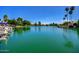 Scenic lake view with palm trees and lush greenery, enhancing the community's ambiance at 2239 S Cottonwood --, Mesa, AZ 85202