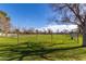Spacious fenced dog park area with lush green grass, perfect for pets to play at 2239 S Cottonwood --, Mesa, AZ 85202