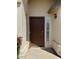A close-up of the home's front door with side window and adjacent plants at 3700 E Sandwick Dr, San Tan Valley, AZ 85140