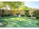 Backyard putting green offers a fun and challenging activity for golf enthusiasts at 4450 S Frequency --, Mesa, AZ 85212