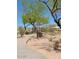 Community park featuring a playground and walking path lined with shade trees at 48171 N La Soledad --, Gold Canyon, AZ 85118