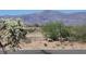 Scenic view of the desert landscape with mountains in the background, cacti, and native plants at 48171 N La Soledad --, Gold Canyon, AZ 85118