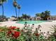 Scenic view of the pool surrounded by landscaping and tropical palm trees at 5742 N 43Rd Dr, Glendale, AZ 85301