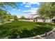 Expansive backyard with lush green lawn and meticulously maintained landscaping at 8515 E Sutton Dr, Scottsdale, AZ 85260
