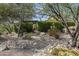 Stone walkway through a lush desert garden with mature trees, native plants and cacti surrounded by rocks and gravel at 10057 E Blue Sky Dr, Scottsdale, AZ 85262