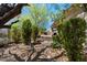 Beautiful backyard featuring desert landscaping, stone pathway and mature trees provide shade and tranquility at 14037 E Coyote Rd, Scottsdale, AZ 85259
