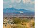 Panoramic desert vista overlooking the city skyline, mountains, and cloudy skies at 1635 N 208Th Ave, Buckeye, AZ 85396