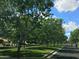 Quiet neighborhood street lined with lush green trees, creating a serene atmosphere at 1635 N 208Th Ave, Buckeye, AZ 85396