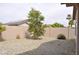 View of private rock landscaped backyard with desert landscaping and a privacy wall at 17810 W Marshall Ln, Surprise, AZ 85388