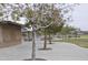 Inviting park featuring mature trees and picnic benches in a peaceful setting at 17810 W Marshall Ln, Surprise, AZ 85388