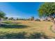Expansive community parkland featuring lush grass, mature trees, and open space offers recreational opportunities for residents at 18525 N Larkspur Dr, Maricopa, AZ 85138