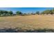 Scenic view of a large community park with open space, playground, and covered picnic area for residents to enjoy at 18525 N Larkspur Dr, Maricopa, AZ 85138