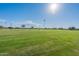 Lush green parkland illuminated by sunlight, perfect for outdoor activities and relaxation in a vibrant community setting at 18525 N Larkspur Dr, Maricopa, AZ 85138