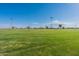 Expansive green park space ideal for sports, recreation, and community events under clear blue skies, offering ample room to enjoy at 18525 N Larkspur Dr, Maricopa, AZ 85138