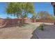 A beautiful, grassy backyard features mature trees, desert landscaping and a perimeter wall at 18590 W Vogel Ave, Goodyear, AZ 85338