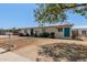 Single-level home with minimal landscaping, enhanced by a mature shade tree and a tidy lawn at 2221 E Lynne Ln, Phoenix, AZ 85042