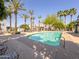 Community pool surrounded by palm trees, providing a resort-style experience for residents at 2314 E Hidalgo Ave, Phoenix, AZ 85040
