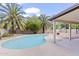 Backyard view showcasing a sparkling blue pool, mature palm trees, and a covered patio area at 2619 S Los Altos --, Mesa, AZ 85202