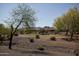Beautiful backyard view showing desert landscaping and golf course in the distance at 27083 W Marco Polo Rd, Buckeye, AZ 85396