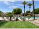 Resort-style community pool with lawn chairs and lush palm trees at 2950 E Dublin St, Gilbert, AZ 85295