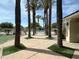 Palm tree lined community pool offers a resort-like atmosphere at 2950 E Dublin St, Gilbert, AZ 85295