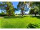 Expansive grassy backyard featuring mature trees, offering ample space and shade at 3006 N Manor W Dr, Phoenix, AZ 85014