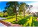 Lush backyard featuring mature trees, manicured lawns, and views of a golf course, creating a tranquil oasis at 3006 N Manor W Dr, Phoenix, AZ 85014