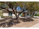 Charming home featuring mature trees and well-maintained desert landscaping at 3732 E Greenway Ln, Phoenix, AZ 85032