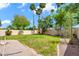 A beautifully landscaped backyard with green grass, tall palm trees, and a block wall provides a private oasis at 4811 W Oakland St, Chandler, AZ 85226