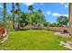 Spacious backyard with green grass and mature trees, perfect for outdoor activities and relaxation at 4811 W Oakland St, Chandler, AZ 85226