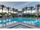 Stunning community pool with palm trees and lounge chairs, offering a refreshing and relaxing oasis at 9540 N 114Th Way, Scottsdale, AZ 85259