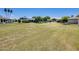 Expansive backyard featuring mature landscaping, privacy, and plenty of space for outdoor activities at 9805 W Burns Dr, Sun City, AZ 85351