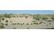 Desert landscape with small trees and flowering bushes beyond the block fence and desert landscape at 19117 W Missouri Ave, Litchfield Park, AZ 85340