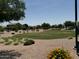 Expansive community green space with well-maintained landscaping and mature trees, perfect for recreation at 2903 E Quenton St, Mesa, AZ 85213